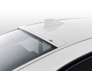 Спойлер на заднее стекло 5131201110 AC SCHNITZER BMW 7 Серии (F01/F02) 